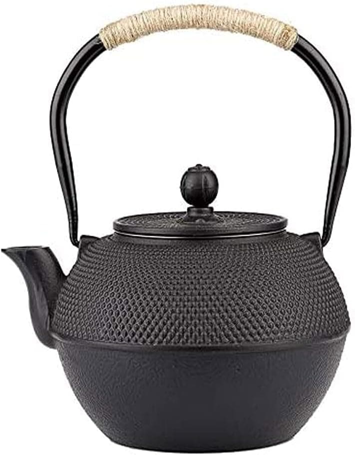 Japanese Tetsubin Cast Iron Teapot with Stainless Infuser, Ancient Pattern 600ml/20oz