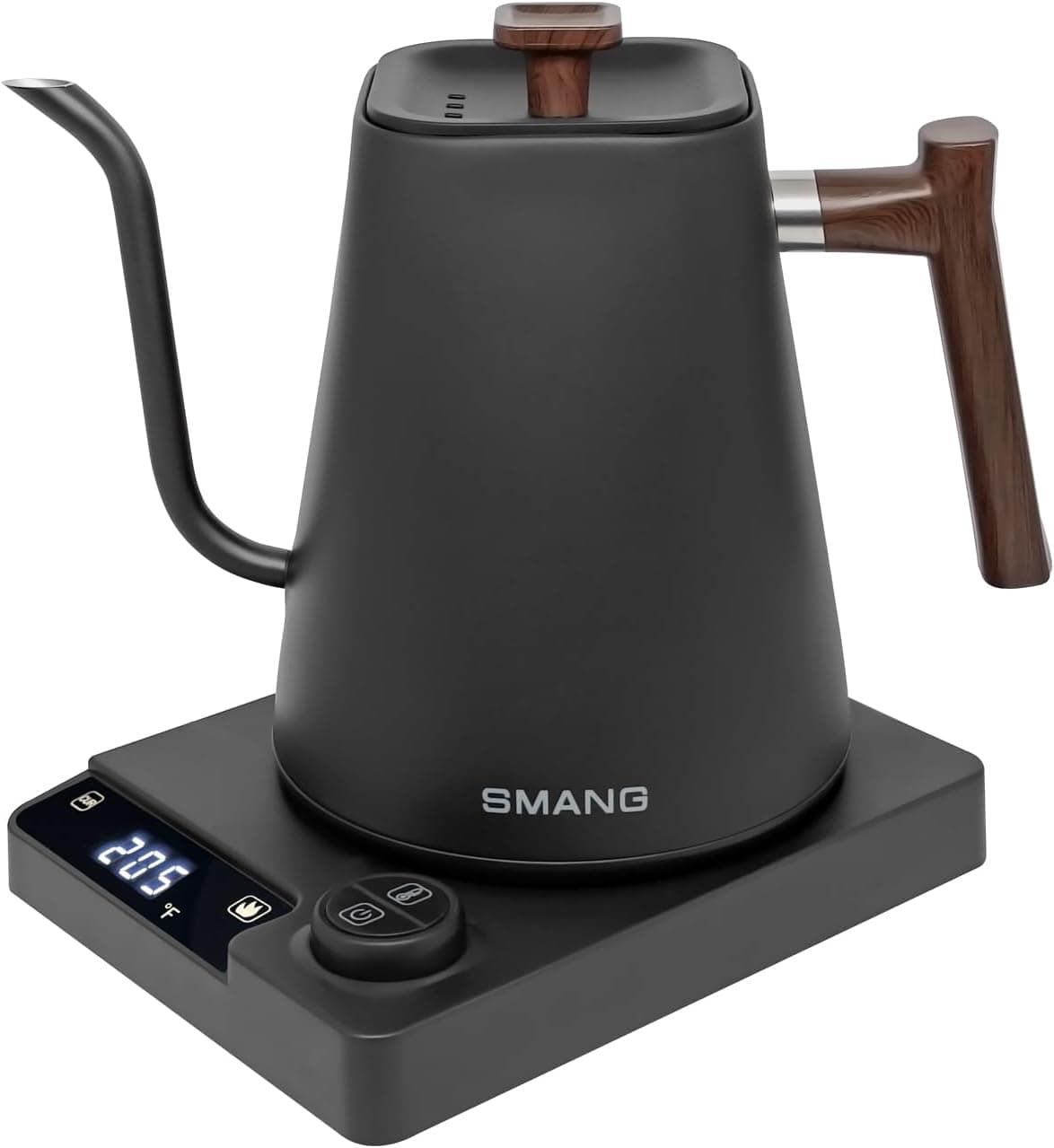 Gooseneck Electric Kettle, +/-1F Temperature Control, 304 Stainless Steel Inner, BPA-Free, Quick Heating, 1L Black